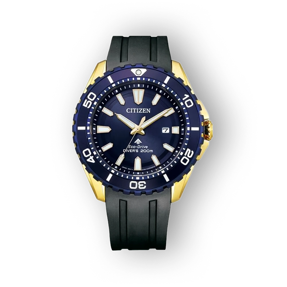 Citizen Eco-Drive BN0196-01L