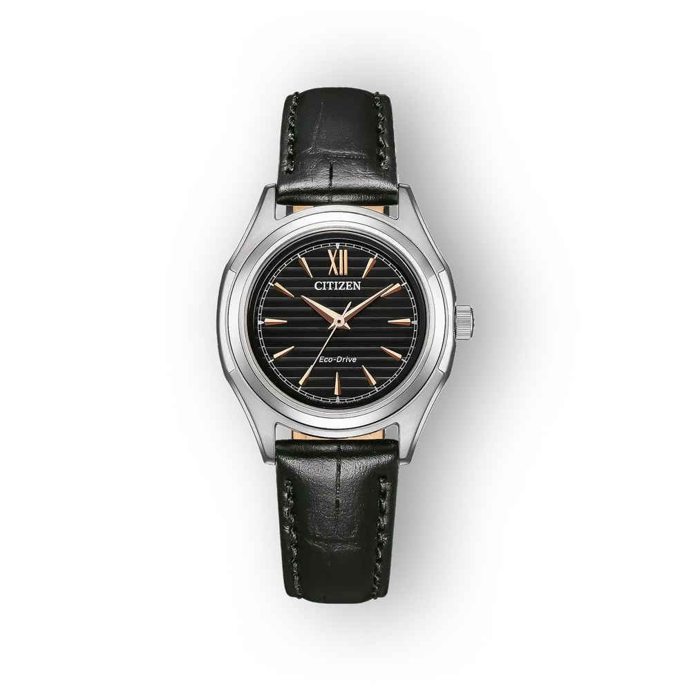 Citizen Eco-Drive FE2110-14E