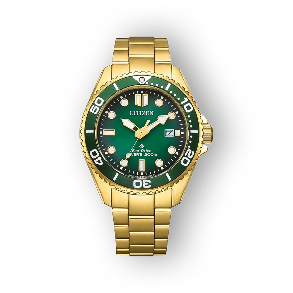 Citizen Promaster BN0262-59W
