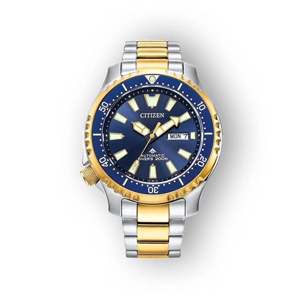 Citizen Promaster NY0154-51L