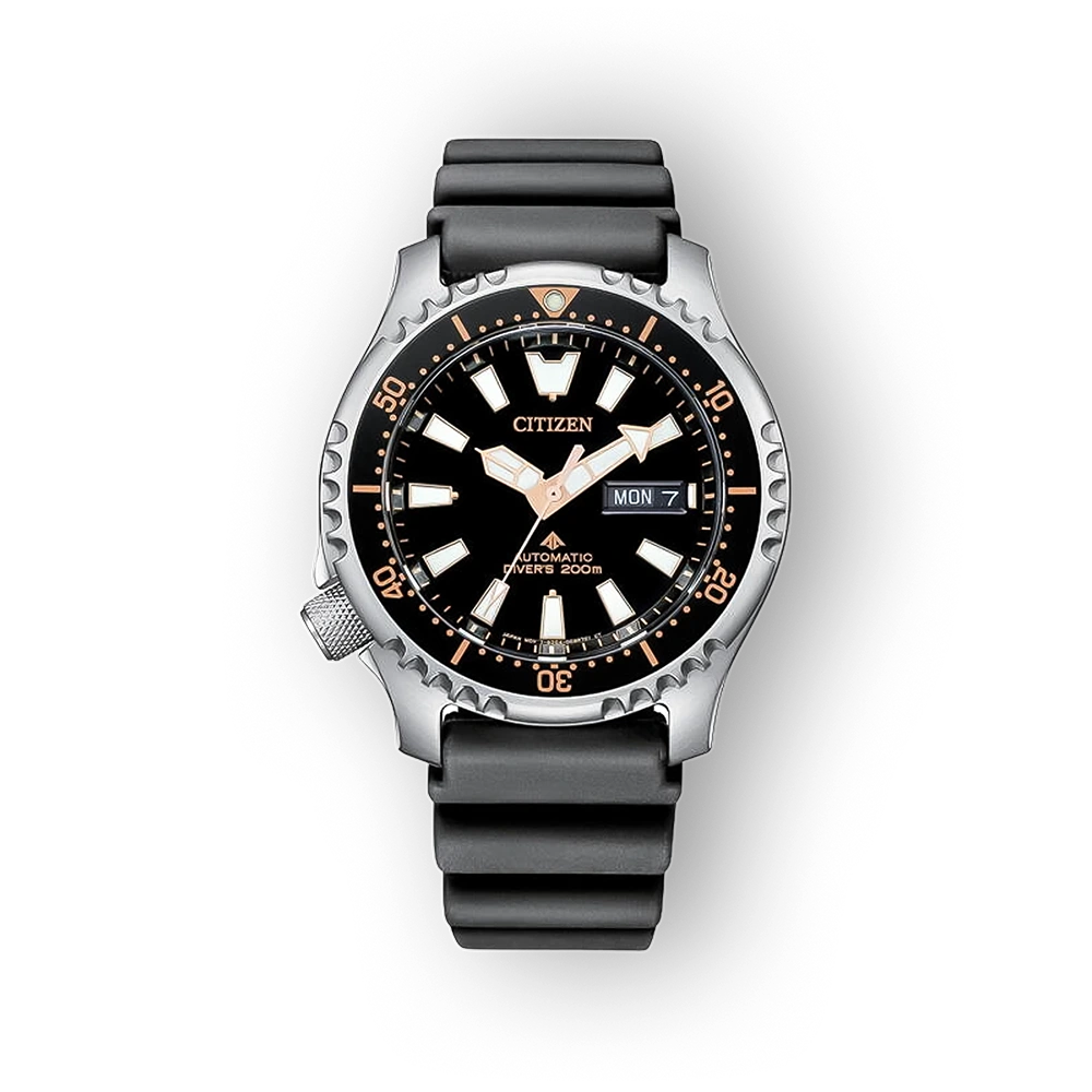 Citizen Promaster NY0160-66E