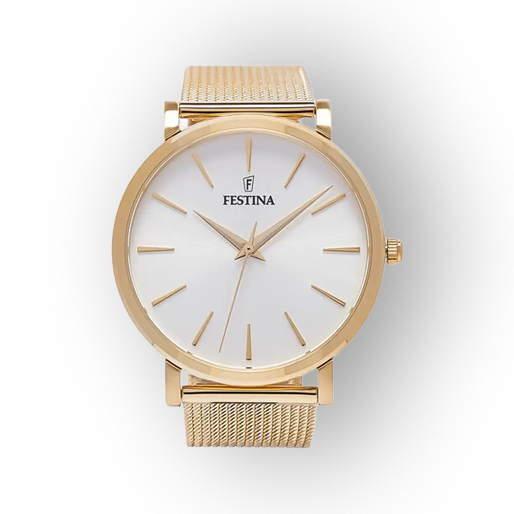 Festina Boyfriend 20476/1