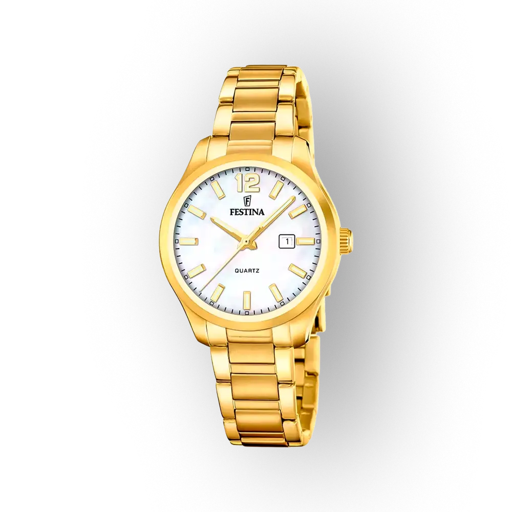 Festina Classic 20741/1