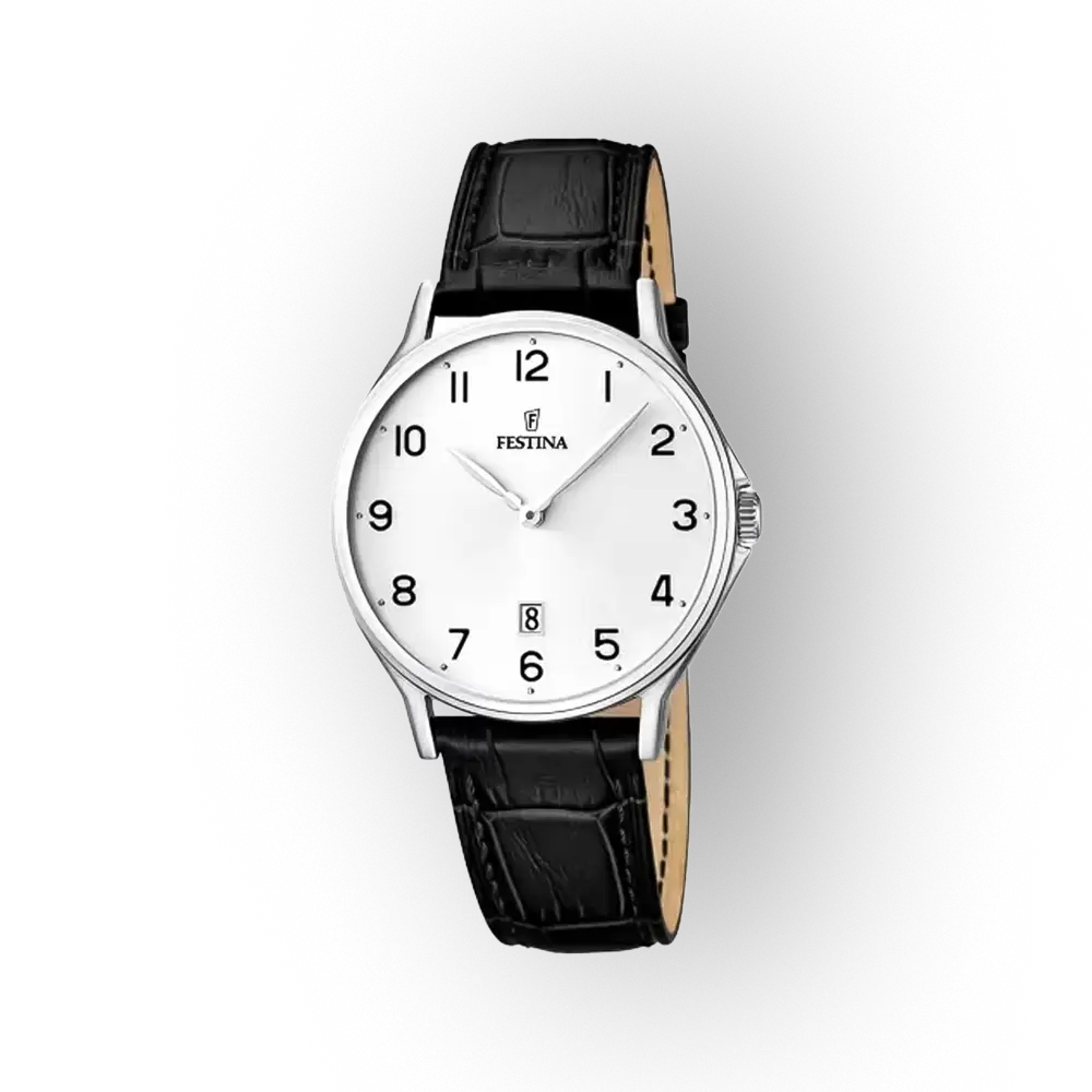 Festina Classics 16745/1