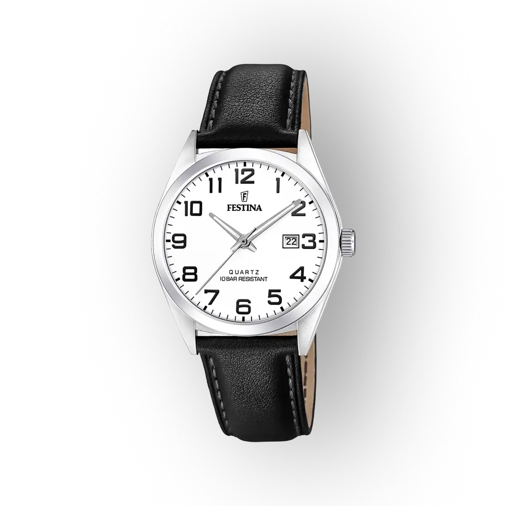 Festina Classics 20446/1