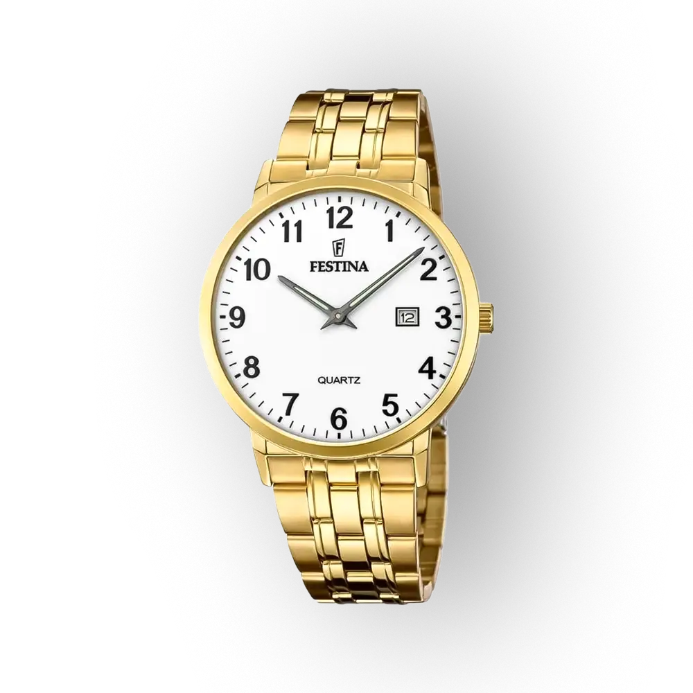 Festina Classics 20513/1