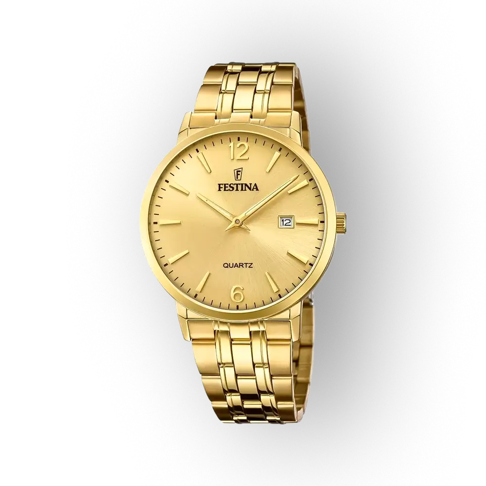 Festina Classics 20513/3