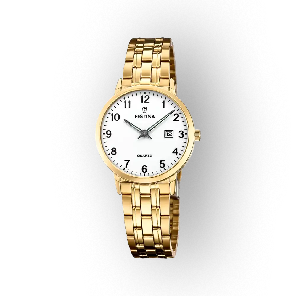 Festina Classics 20514/1