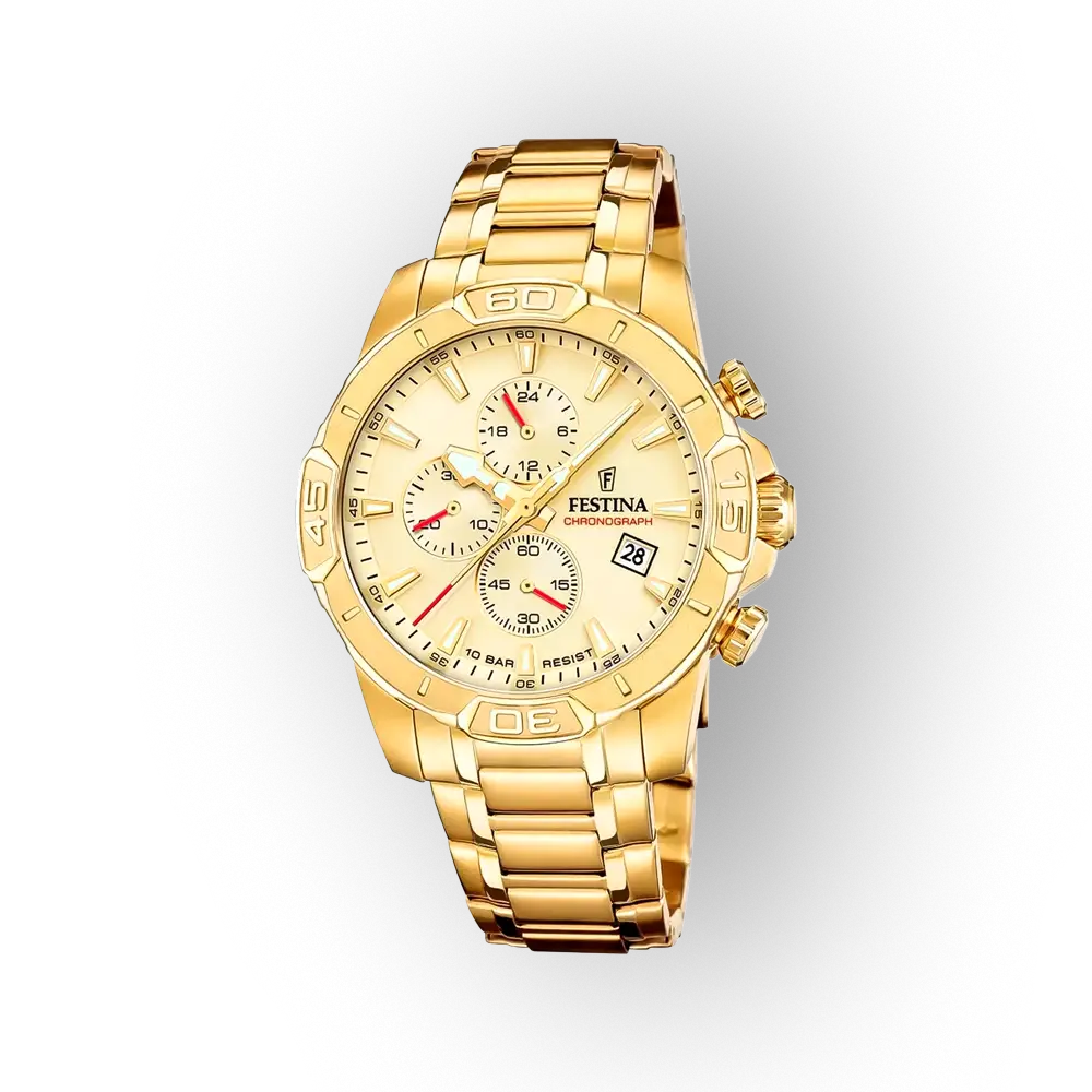 Festina Timeless Chronograph 20705/2