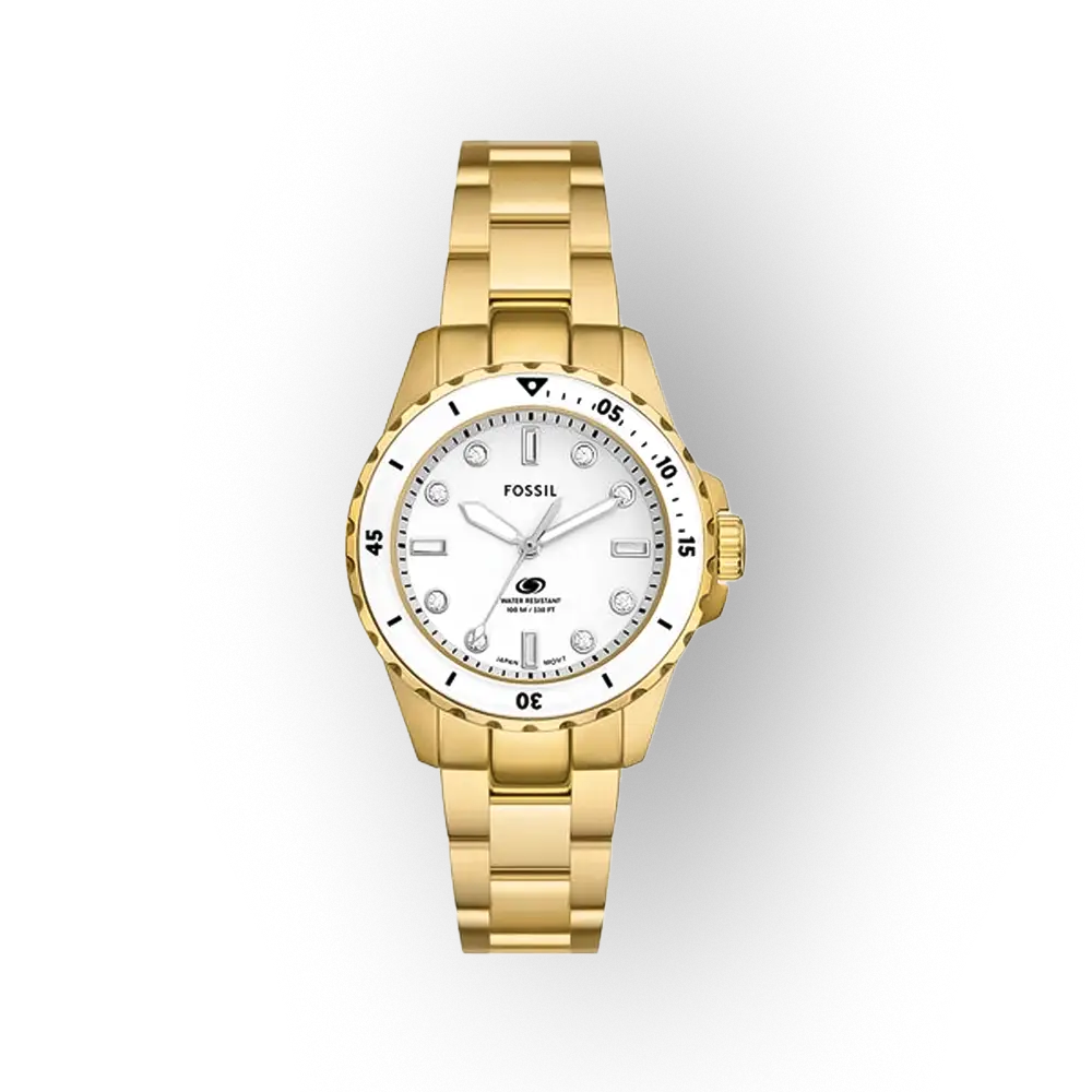 Fossil Dive ES5350