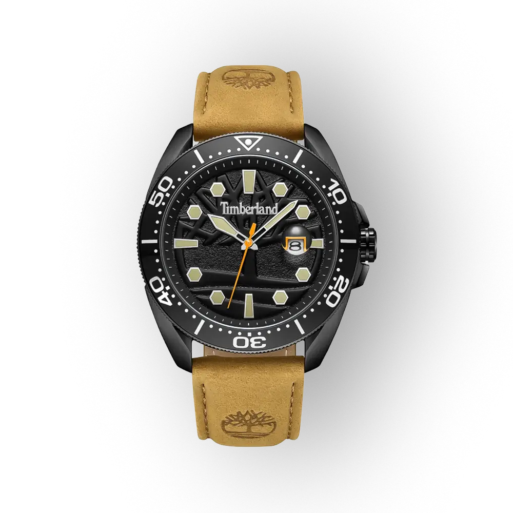 Timberland Carrigan TDWGB2230601