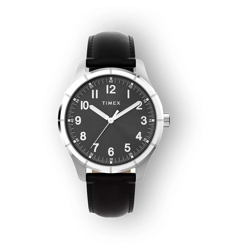 Timex TW2Y161006B