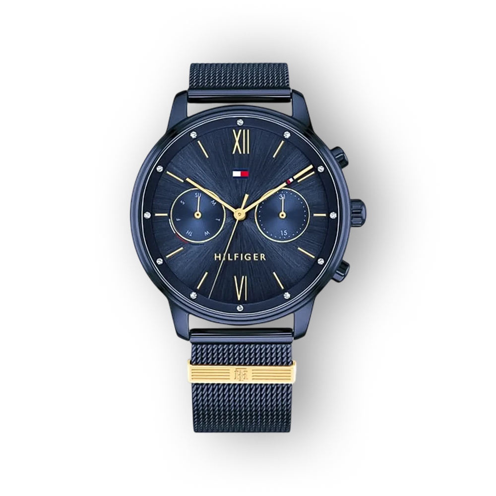 Tommy Hilfiger Blake 1782305