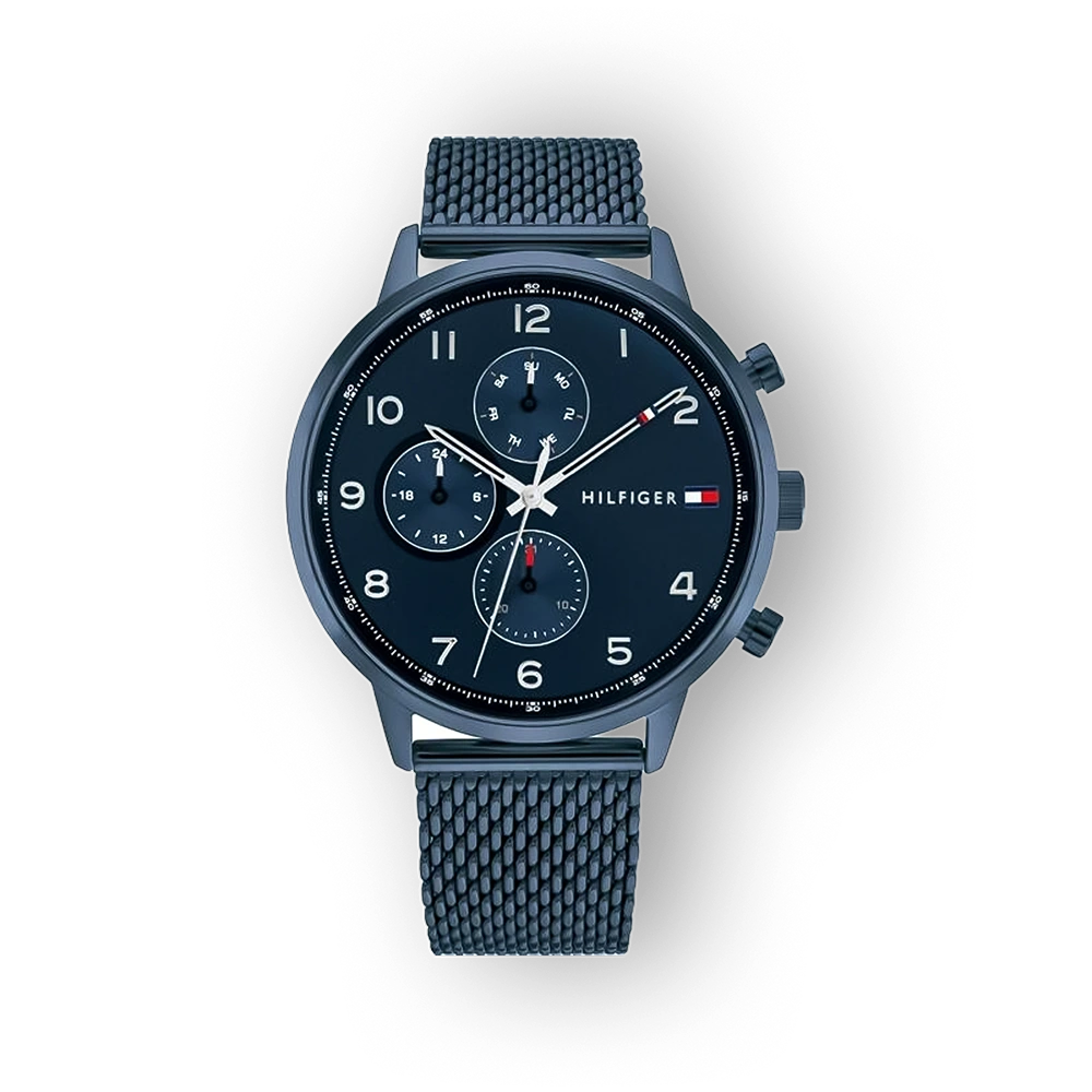 Tommy Hilfiger Leonard 1791990