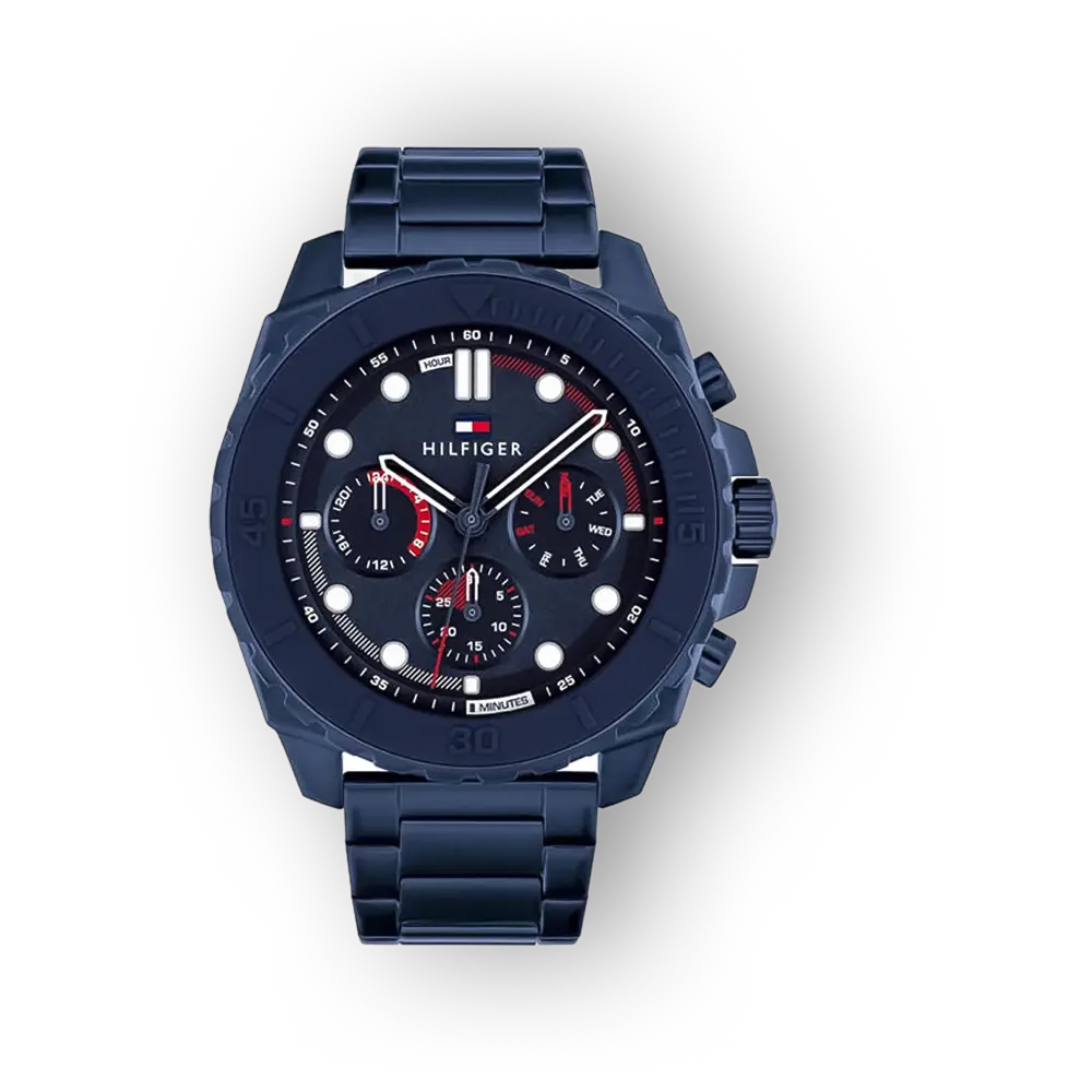 Tommy Hilfiger Morgan 1710691